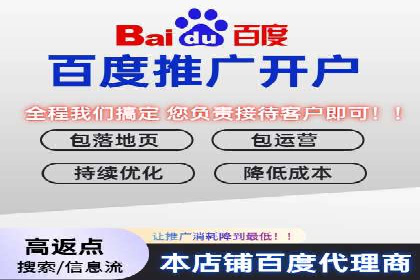 竞价推广中的数据监控与分析：某行业头部企业的成功经验